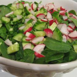 Салат из шпината и редиски